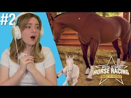 BREEDING CHAMPION FOALS WITH GOLD - Rival Stars Rags to Riches #2 | Pinehaven