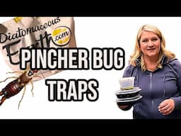 What BUG is Eating My Garden? Diatomaceous  Earth Did not Work.