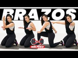 Ejercicios para TONIFICAR BRAZOS sin peso 💪 Gym Virtual