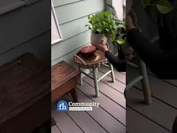 How to Turn a Stool Into Two Plant Stands