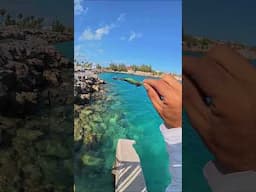 CATCHING SQUID Like a Pro! POV Experience That'll Leave You Hooked!