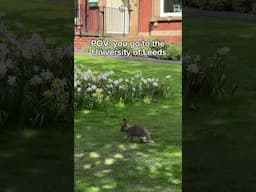 POV: you go to the University of Leeds