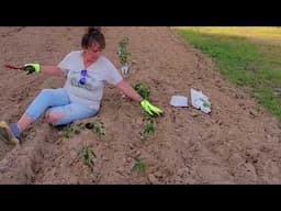 Planting the Garden Spring 2025