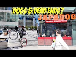 Relishing The Weather? Zig Zag Walking Upon The Newly Opened JAPADOG On Yonge St In Downtown Toronto