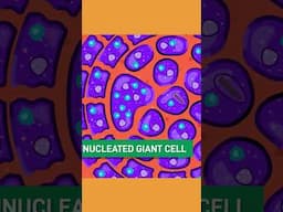 The Walls Forming Inside Your Body