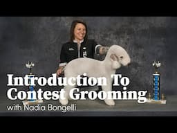 TEASER: Introduction to Contest Grooming with Nadia Bongelli