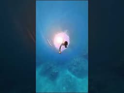 what camera would I recommend as a diver? @insta360