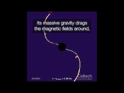 Black Hole Consumes Magnetized Neutron Star