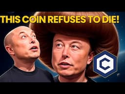 From $6K to the Moon? The Most Underrated Token Right Now