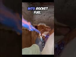 Rocket Fuel Cow