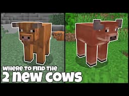 Where To Find WARM COW & COLD COW In MINECRAFT