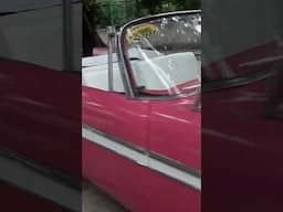 ‘57 Plymouth Belvedere Convertible,Cuba!🇨🇺😎🔥#short #shorts #shortvideo #shortsfeed #viralvideo