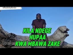 POSITIVITY STORIES: Eps. 159: KILA NDEGE HUPAA KWA MBAWA ZAKE       ( The Jackie Chan story)