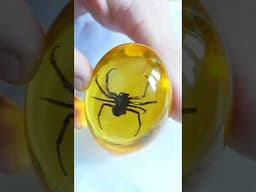 Making Spider EGG