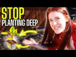 You’re Planting Wrong — A Soil Scientist’s Outdoor Masterclass & Why it works