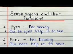 Sense organs and their functions | Sense organs name | Name 5 Sense organs functions
