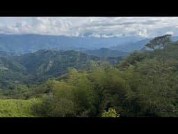 Live in the Colombian Rainforest!