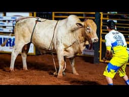 Campeões do RODEIO de Araguaina-TO (Bastidores da Expoara 2025)