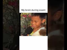 Daily Memes Pt: 29 #shorts #youtubeshorts #memes