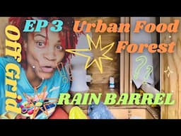 Ep 3 RAIN BARREL & HALF OFF PLANTS