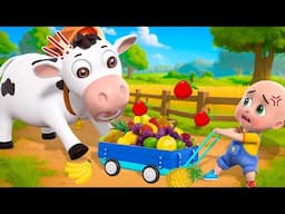 Animals Farm Song New Compilation | Baby Bingo | Cartoon and Kids Songs | Baby Bobo | Nursery Rhymes