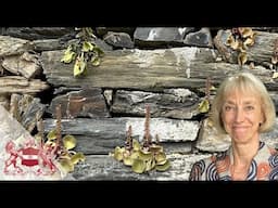 Nature and Cultural Heritage | How to Conserve These Sources of Inspiration
