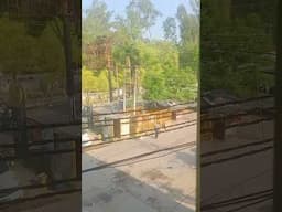 PETA India paid workers in Roorkee: Poultry needs protection and rescue