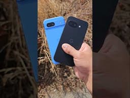 Pixel 9a vs 8a camera!