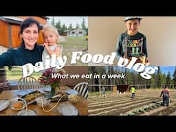 Dinner Ideas for a family of six what we eat in a week