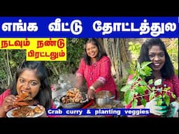 🦀நண்டு வருவலோட கார்டனில காய்கறி செடி நட ஆரம்பிச்சிட்டோம்/planting veggies & crab curry in our garden