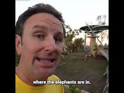 Us At the Zoo