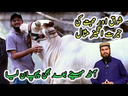 itne Time baad GULABO se Mulaqat Hui 😍 Kya Mubeen ko Pehchanegi? Cattle Market Karachi