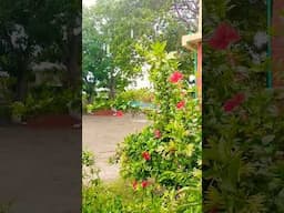 বৃষ্টি