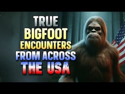 TRUE BIGFOOT ENCOUNTERS FROM ACROSS THE USA
