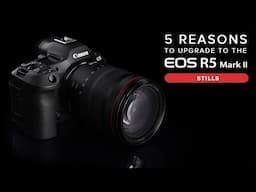 Still Photography Reasons to Upgrade to the Canon EOS R5 Mark II