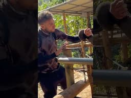 Elephant grabbed my arm!😳🐘 @MarcTravels #elephant #thailand #marctravels #electricmotorcycle