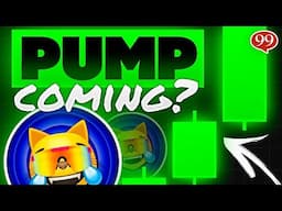 MOG COIN Crypto Price Prediction | MOG Coin Pump Incoming?!