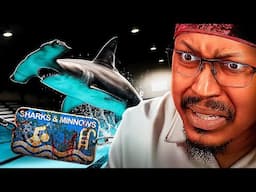 MY BLACK AHH WOULD NEVER - Shark & Minnows￼