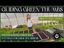 HIGH TUNNEL SPRING GARDEN UPDATES // POTTING UP HYACINTHS // NEW SHRUBS // WINTER SOWING CHECK-IN