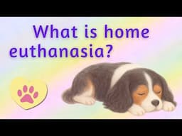 Home Pet Euthanasia: A Peaceful Goodbye for Your Dog or Cat | Interview with Dr. Monica Turenne