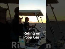 Converted Golf Cart Hybrid running on Poop Gas #biochar #poopgas #renewableenergy