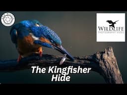 Wildlife Photography Hides UK - The Kingfisher Hide