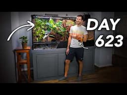 I Built a Paludarium for my Rainbow Boa, What Happened?