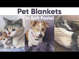 How to Create Fluffy Pet Blankets in Soft Pastel