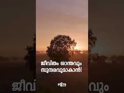 ജീവിതം ശാന്തവും സുന്ദരവുമാകാൻ!   #mstsmindpower #subconscious #malayalam