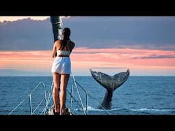 SAILING THE SPANISH VIRGIN ISLANDS - WHALES OFF THE BOW + BIOLUMINESCENT BAY! 🐋✨ EP-172