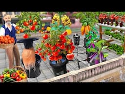 Plastic Bucket Story Hydroponic Tomato Farming Desi Jugad Hindi Kahaniya Moral Stories Hindi Stories
