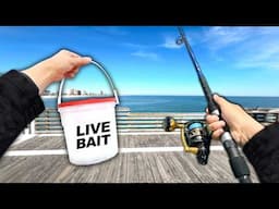 Florida PIER and BRIDGE Fishing! Eating Whatever I Catch.. (Catch and Cook)