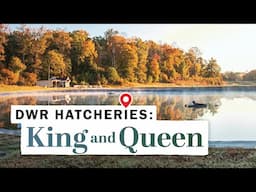 King and Queen Hatchery