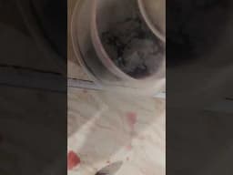 murder in the making
